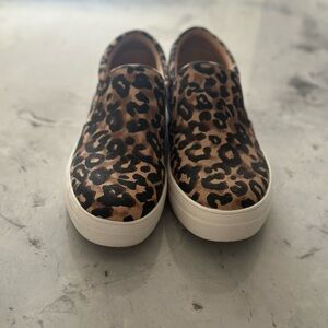 Steve Madden Leopard Print Sneakers - Black and Brown